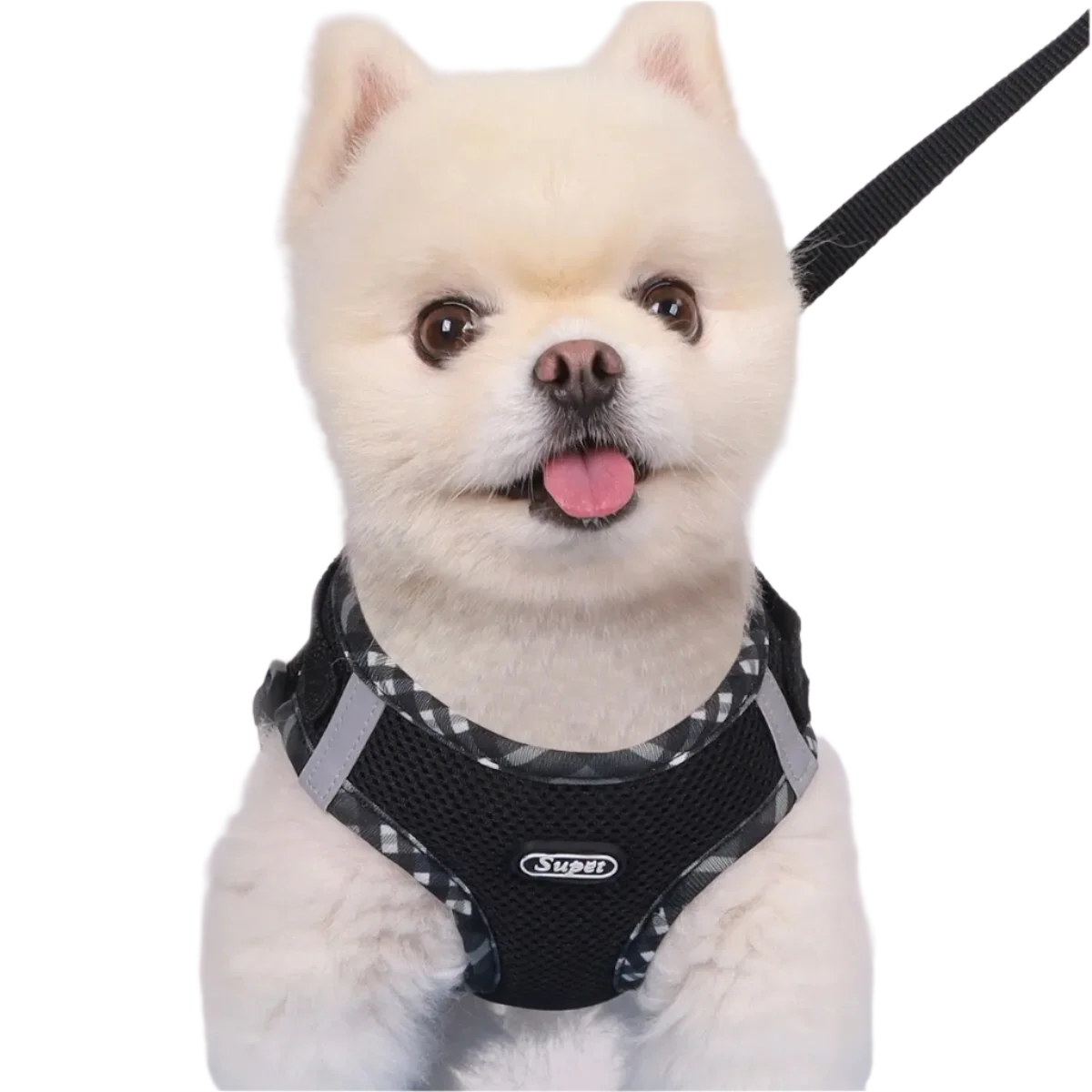 Pet Harnesses