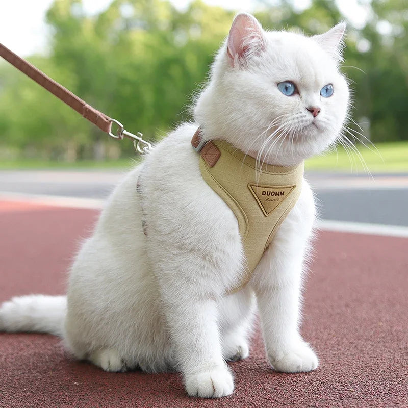 No-Pull Pet Harness & Leash Set