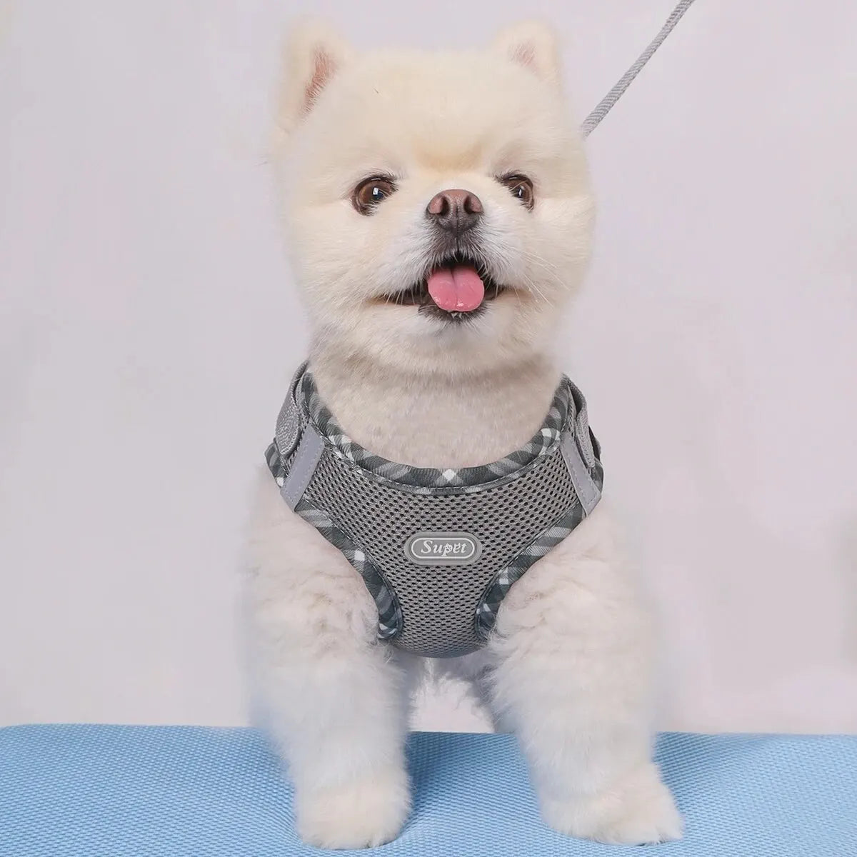 Durable Polyester Dog Harness for Large and Small Breeds