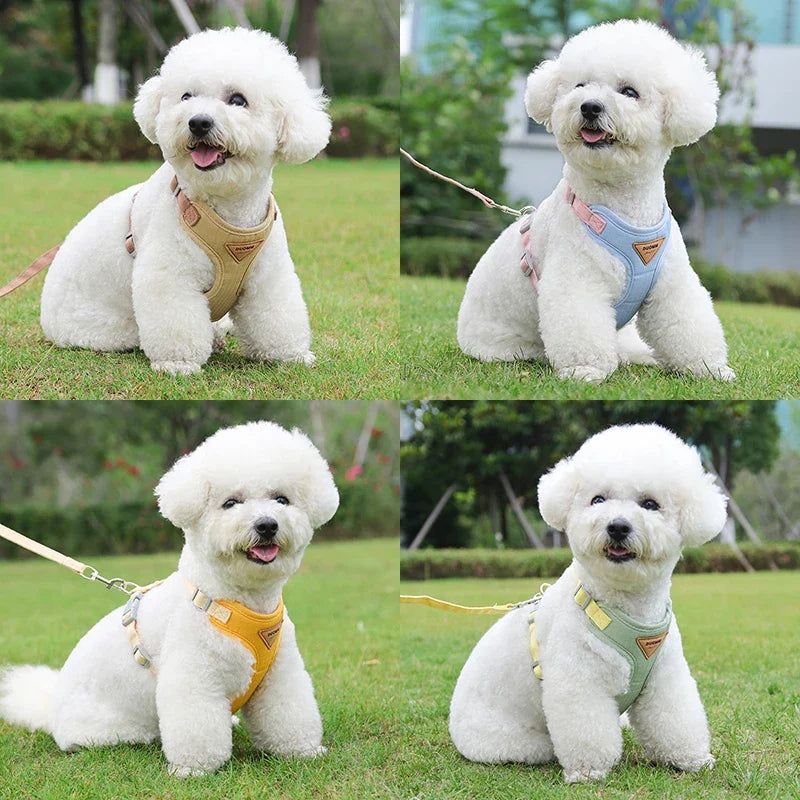 No-Pull Pet Harness & Leash Set