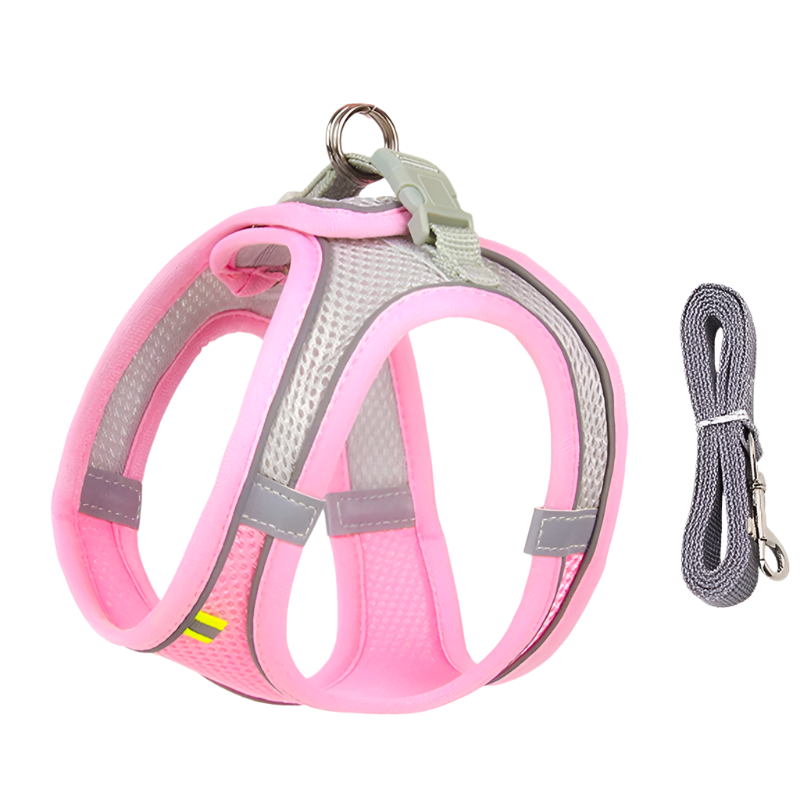 Adjustable Dog Harness & Leash Set for Small Dogs