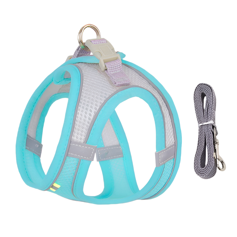 Adjustable Dog Harness & Leash Set for Small Dogs