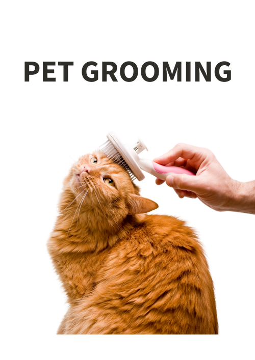 Pet Care And Grooming