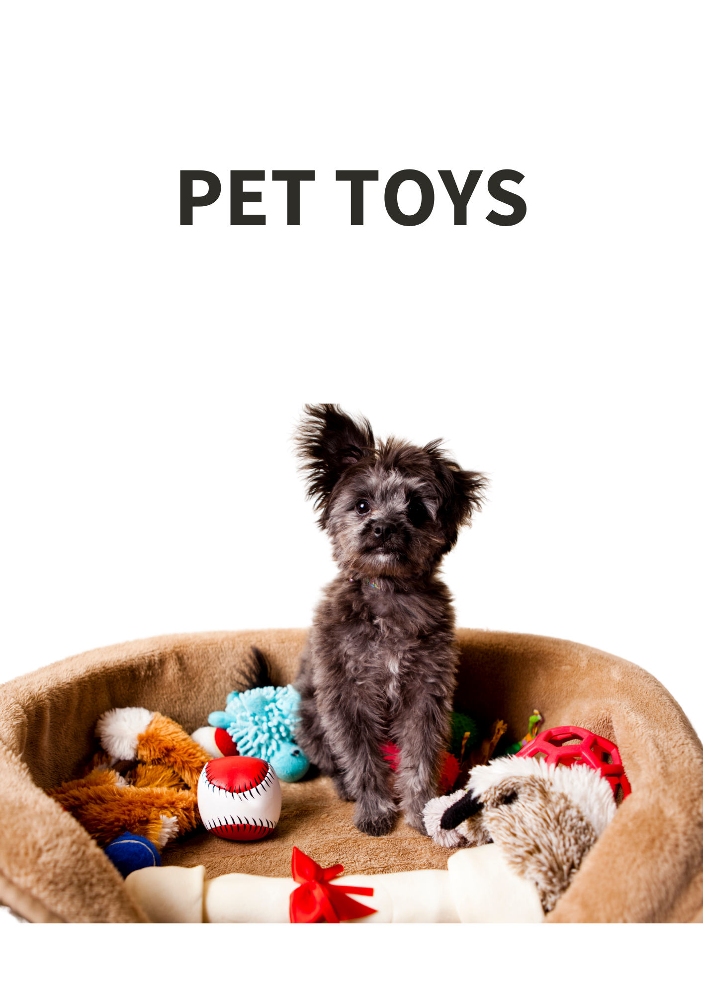 Pet Toys