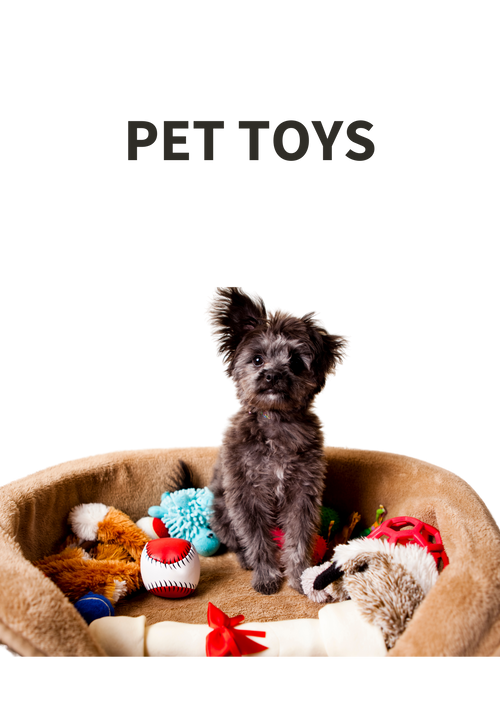 Pet Toys