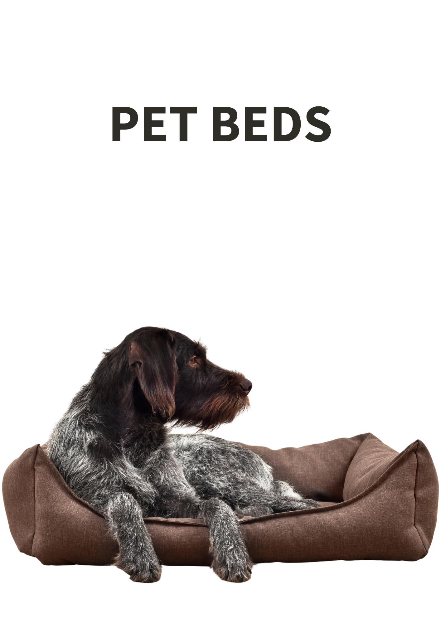 Pet Beds & Mats