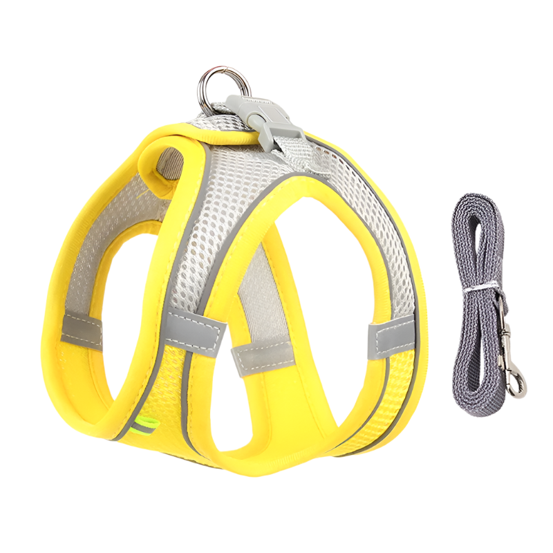 Adjustable Dog Harness & Leash Set for Small Dogs