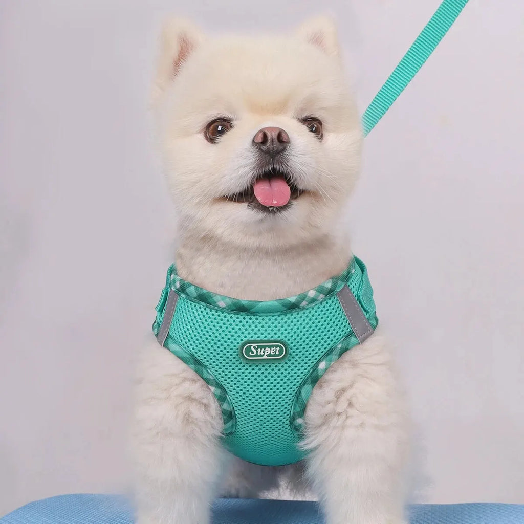 Durable Polyester Dog Harness for Large and Small Breeds