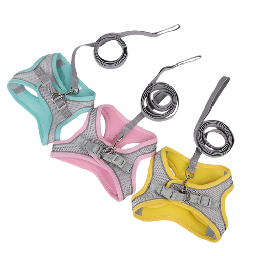Adjustable Dog Harness & Leash Set for Small Dogs