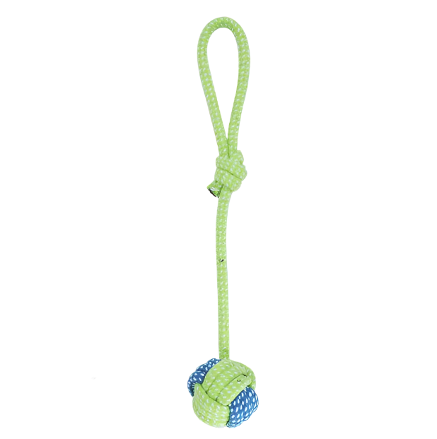 Interactive Cotton Rope Dog Toy