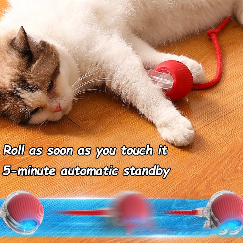 Smart Cat Interactive Rolling Ball Toy