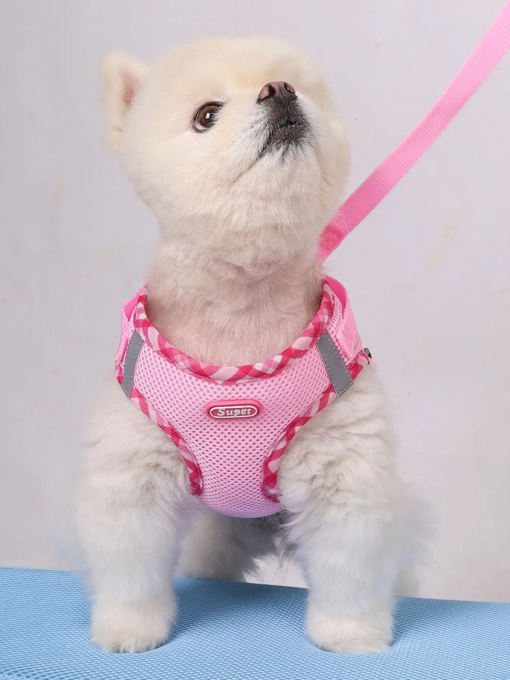 Durable Polyester Dog Harness for Large and Small Breeds