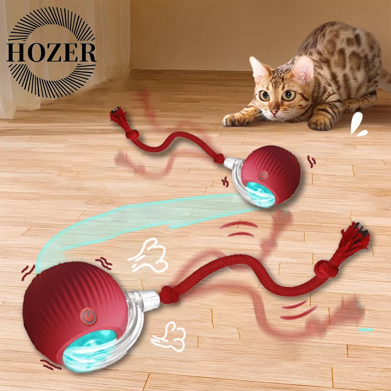 Smart Cat Interactive Rolling Ball Toy
