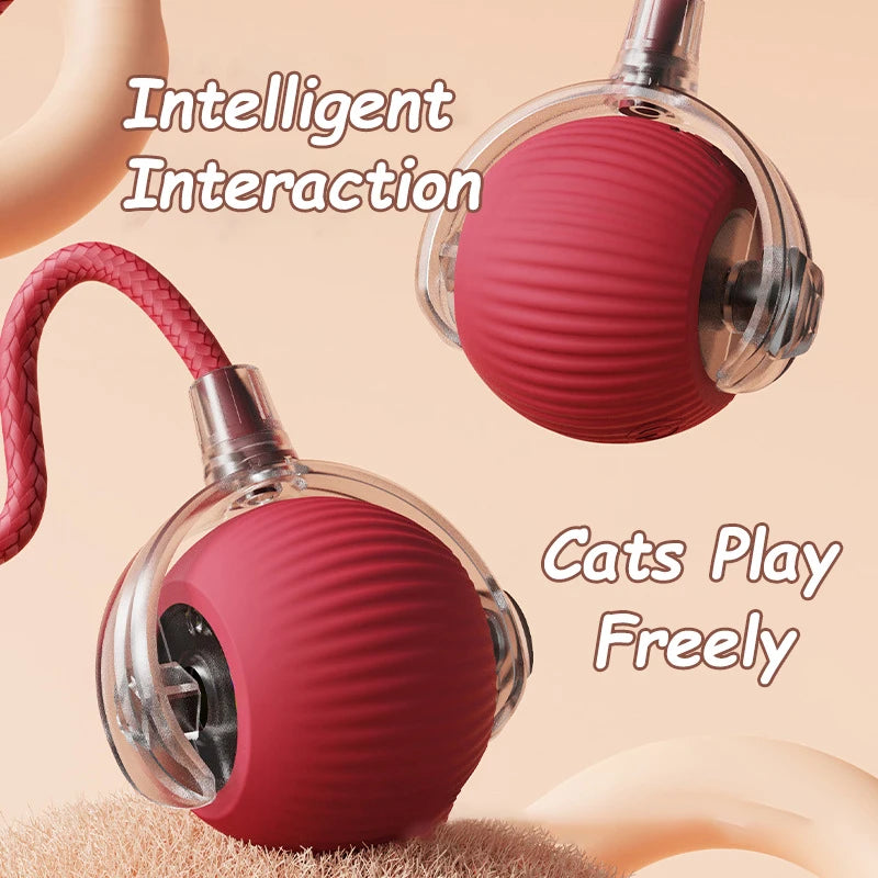 Smart Cat Interactive Rolling Ball Toy