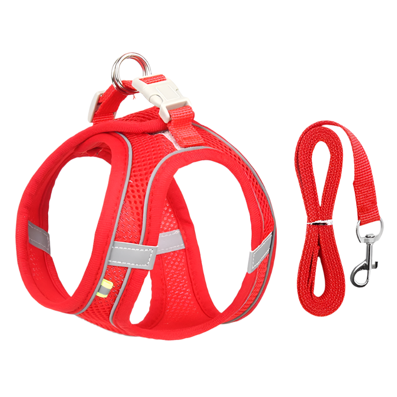 Adjustable Dog Harness & Leash Set for Small Dogs