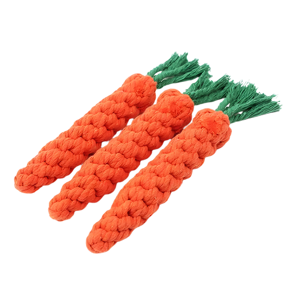 Carrot-Shaped Dog Chew Rope Toy