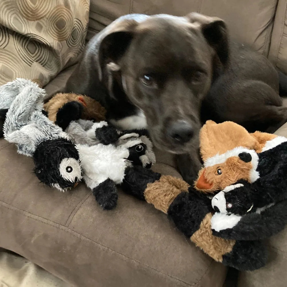 Durable Stuffingless Dog Toy with Squeakers & Crinkle