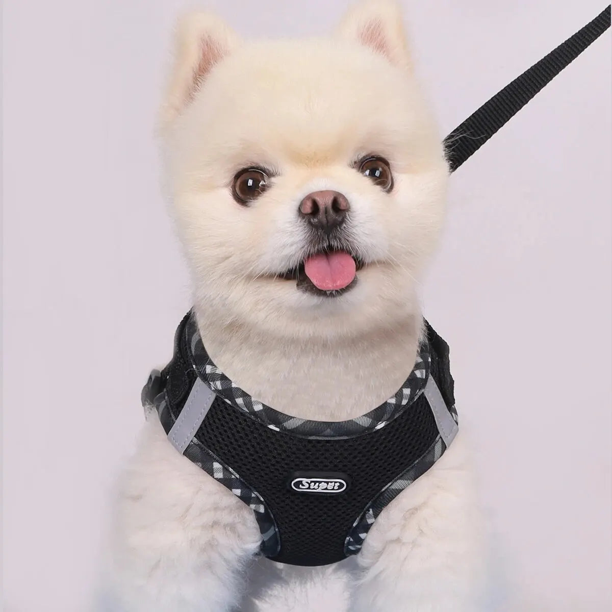 Durable Polyester Dog Harness for Large and Small Breeds