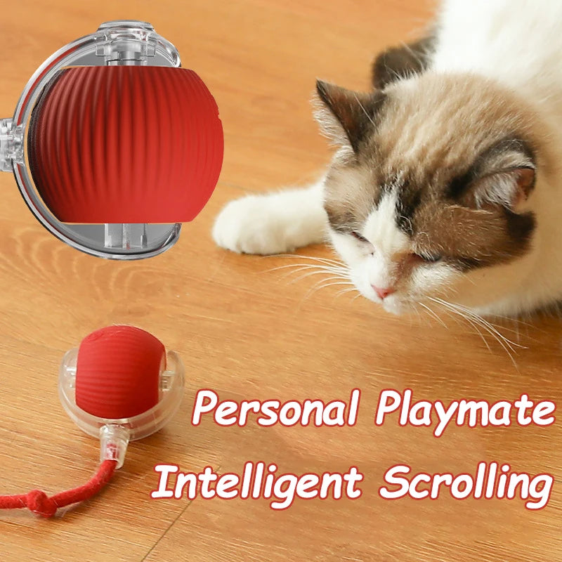 Smart Cat Interactive Rolling Ball Toy