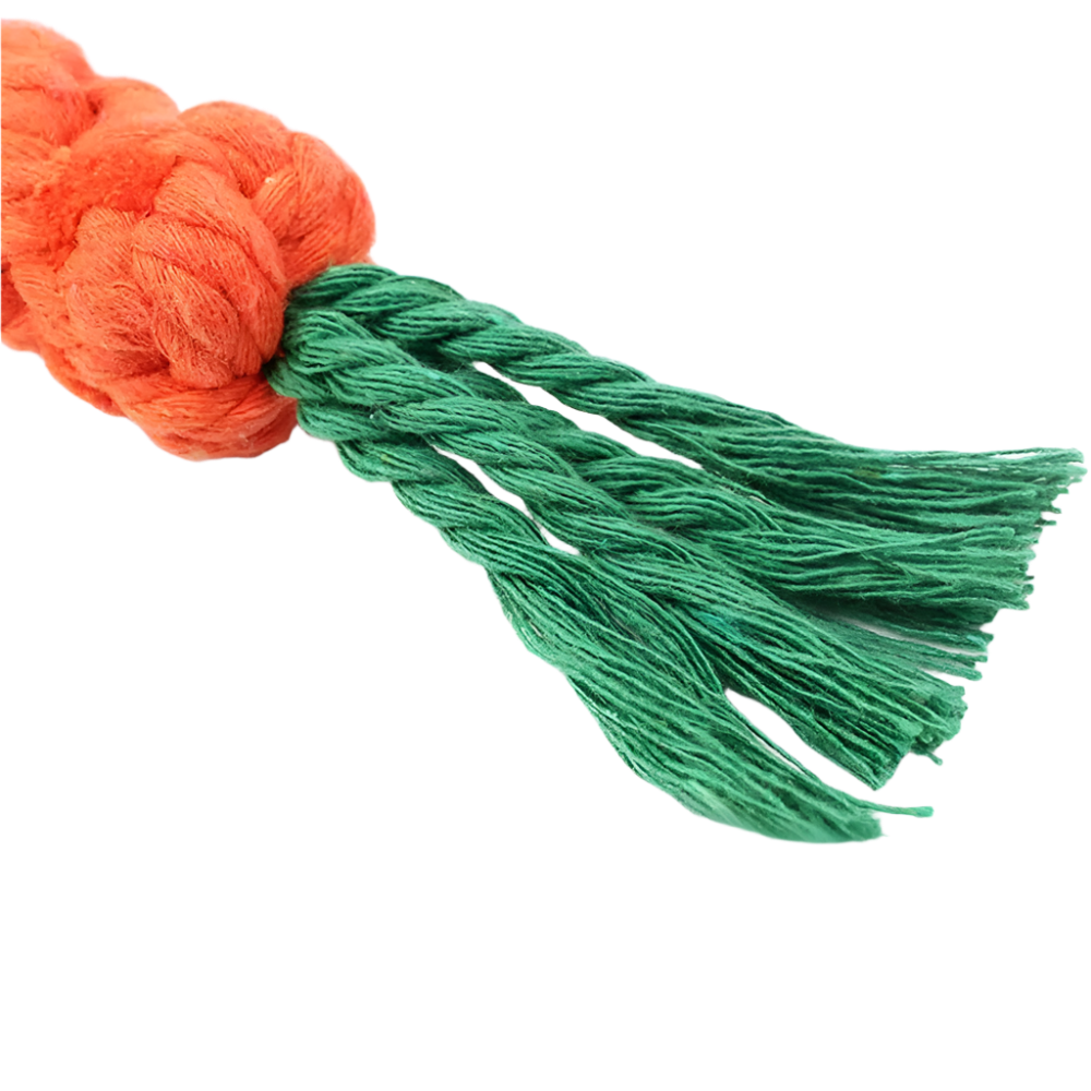 Carrot-Shaped Dog Chew Rope Toy