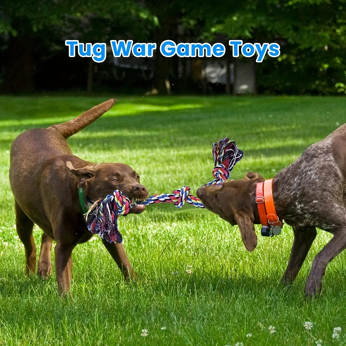 Durable Knot Dog Toy