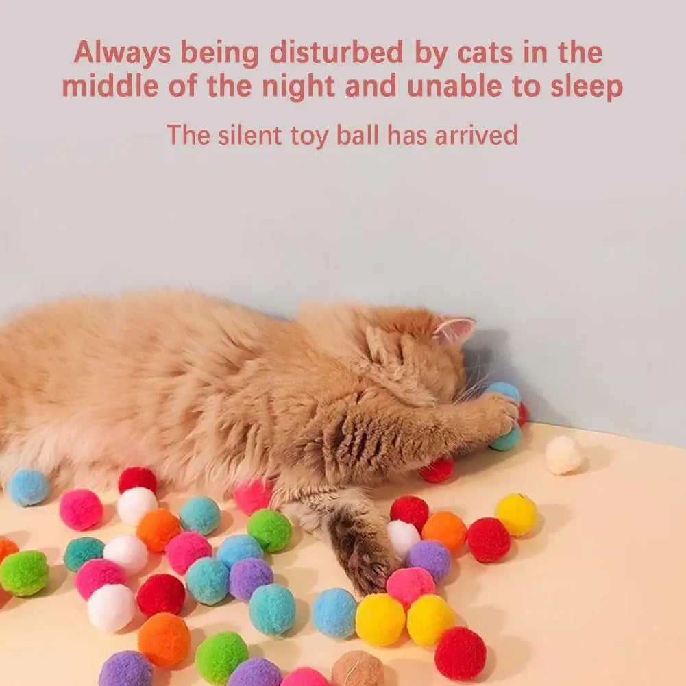 Interactive Cat Toy Launch