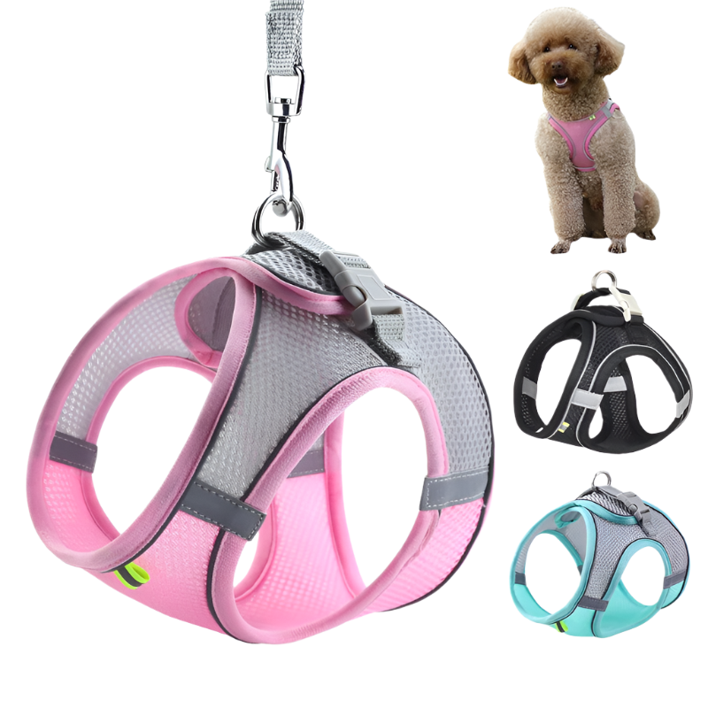 Adjustable Dog Harness & Leash Set for Small Dogs