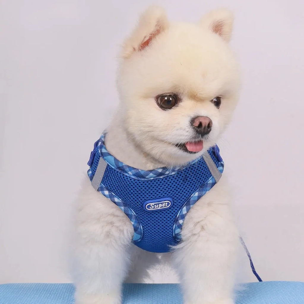 Durable Polyester Dog Harness for Large and Small Breeds