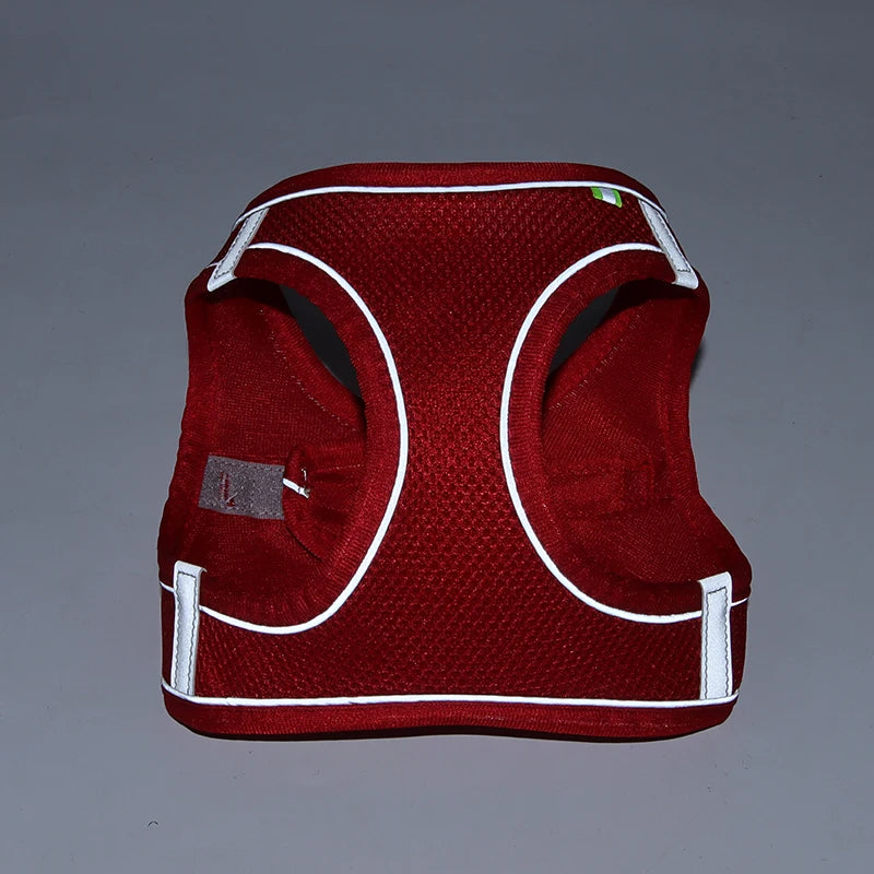 Adjustable Dog Harness & Leash Set for Small Dogs