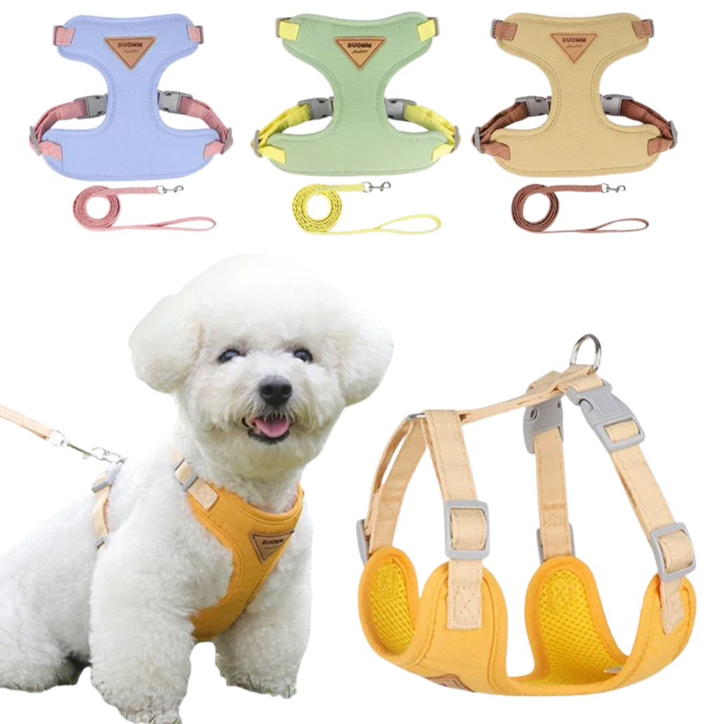 No-Pull Pet Harness & Leash Set