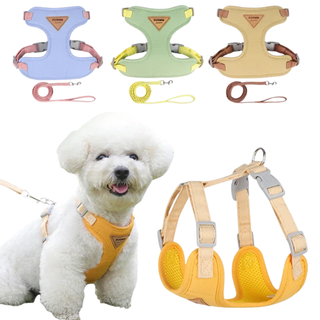 No-Pull Pet Harness & Leash Set