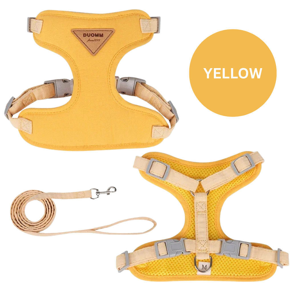 No-Pull Pet Harness & Leash Set