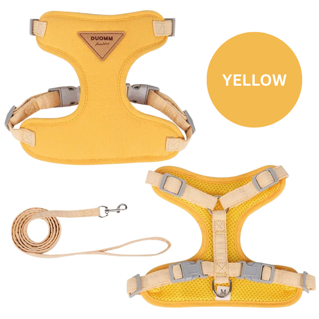 No-Pull Pet Harness & Leash Set