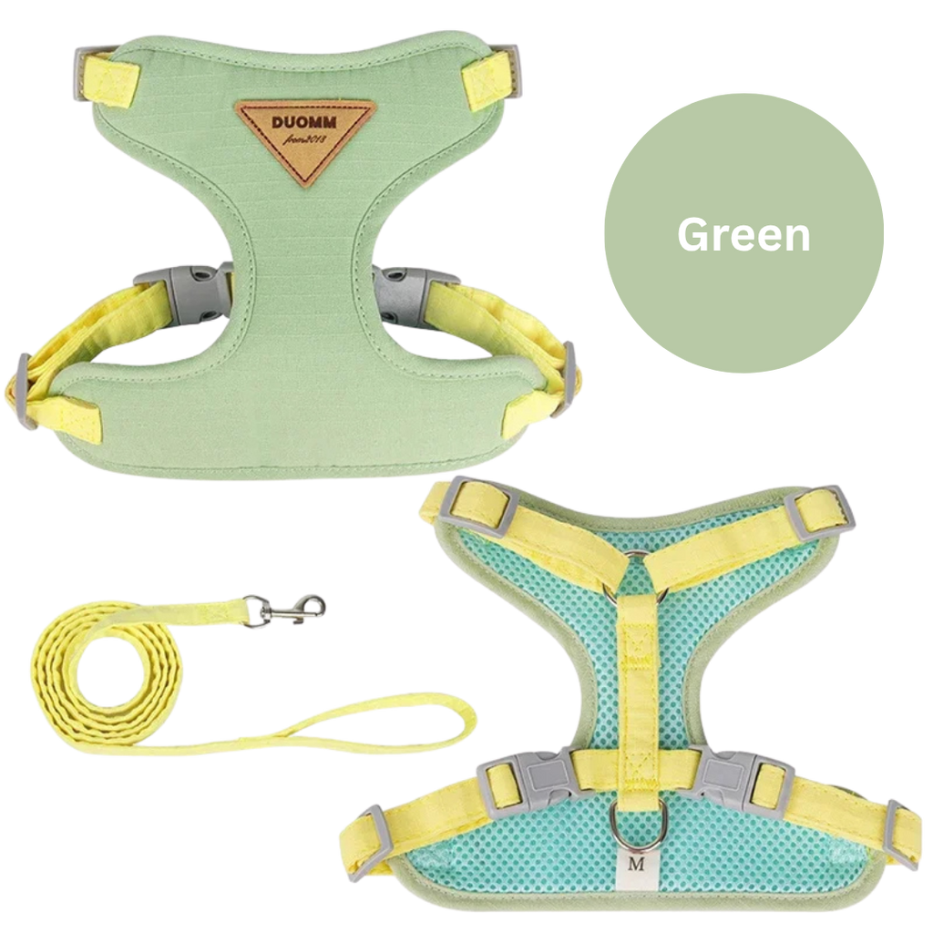 No-Pull Pet Harness & Leash Set