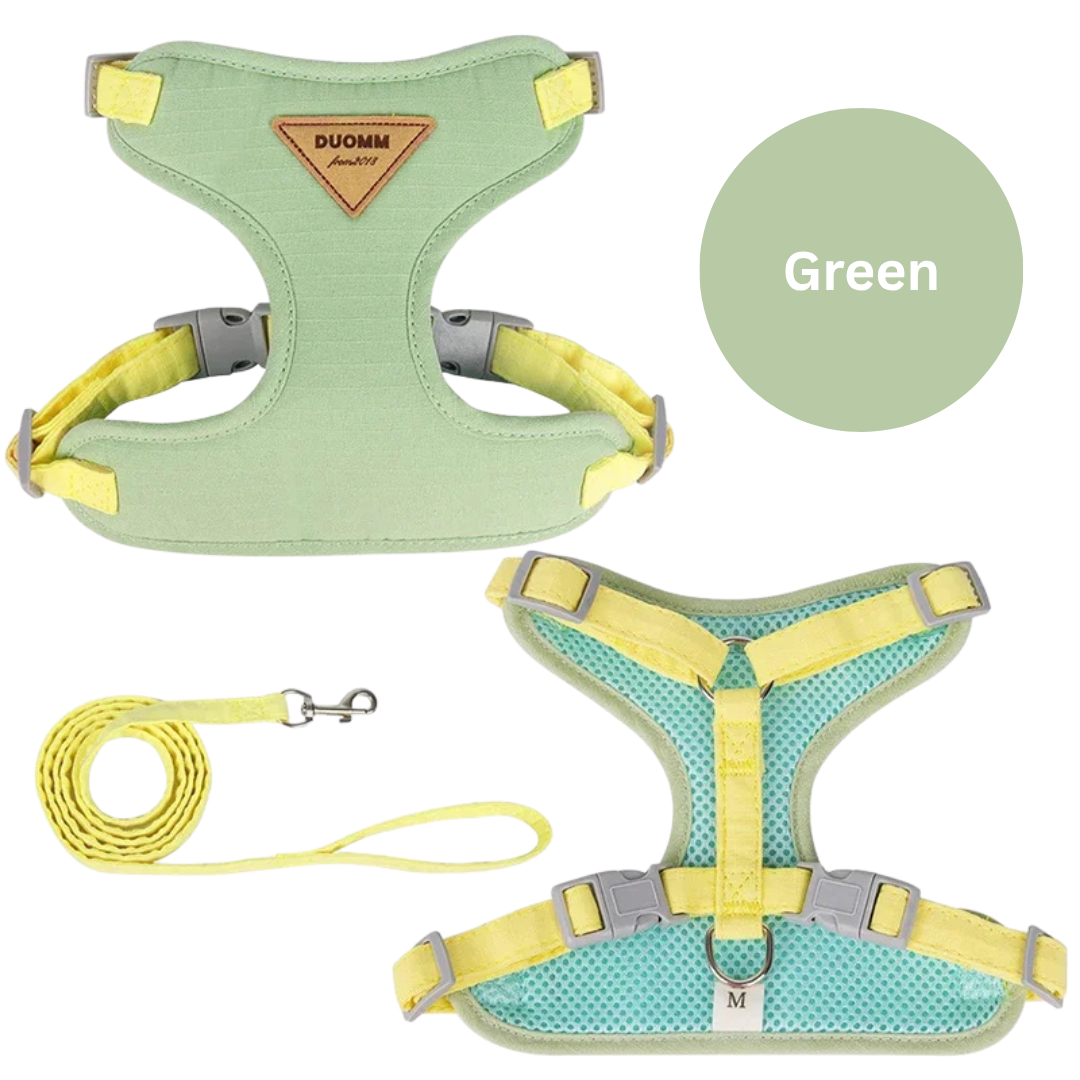 No-Pull Pet Harness & Leash Set