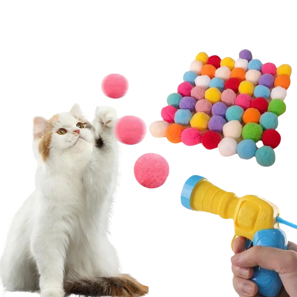 Interactive Cat Toy Launch