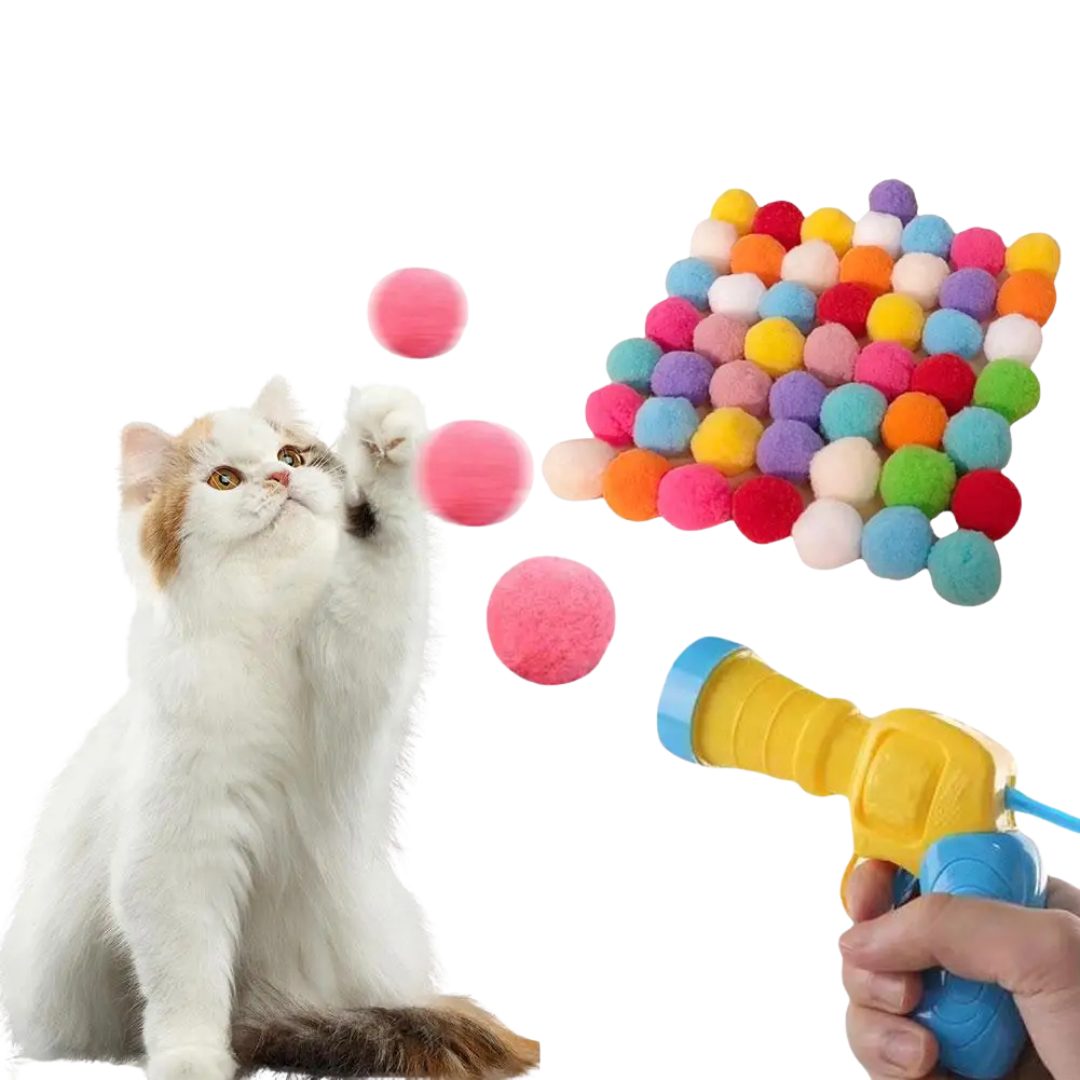 Interactive Cat Toy Launch